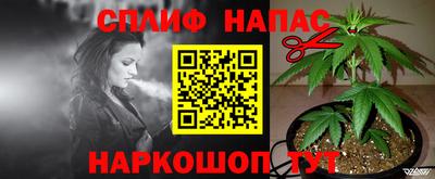 наркотики Ставрополь