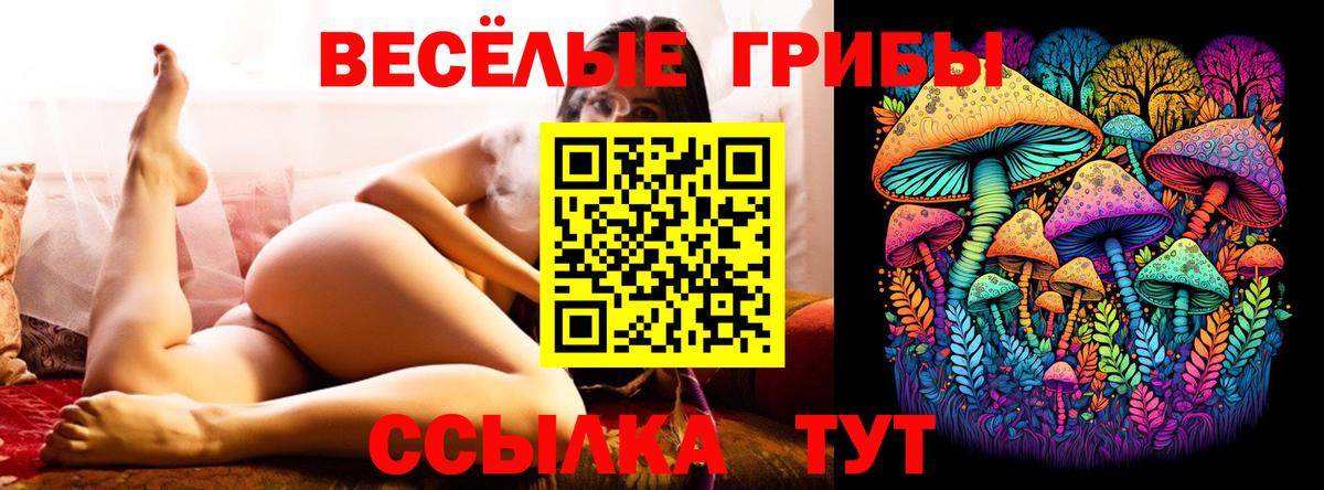 Псилоцибиновые грибы прущие грибы Мариинск