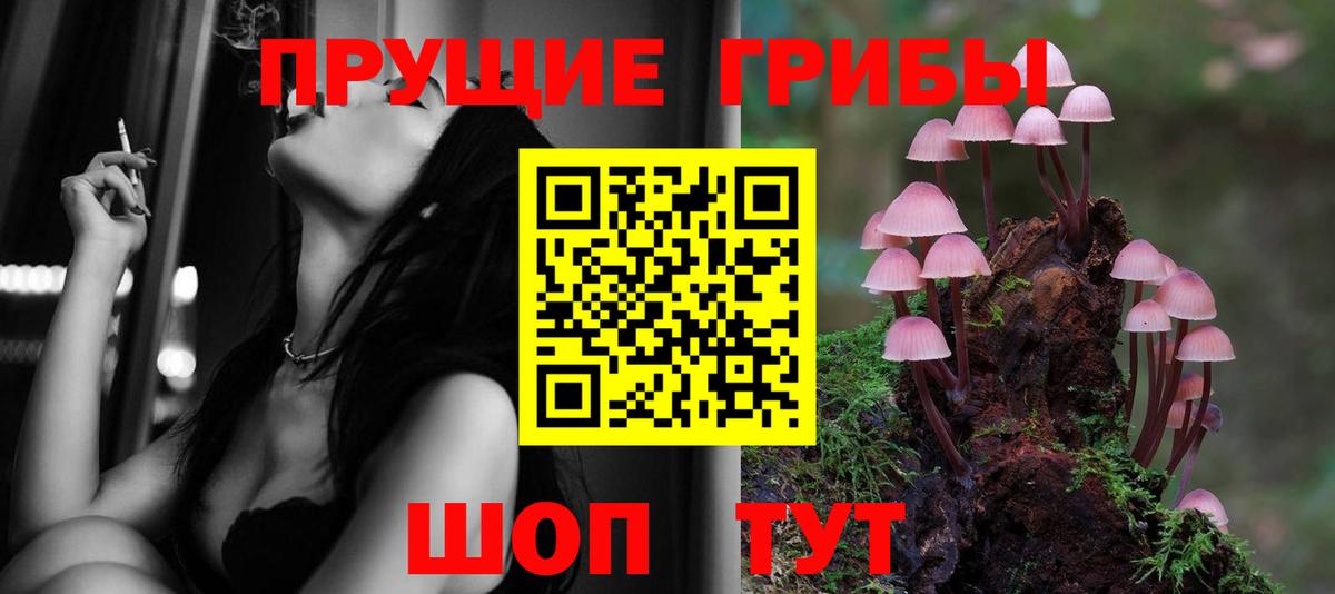 Псилоцибиновые грибы мицелий  Вход с VPN  Псилоцибиновые грибы ЛСД  Мариинск 